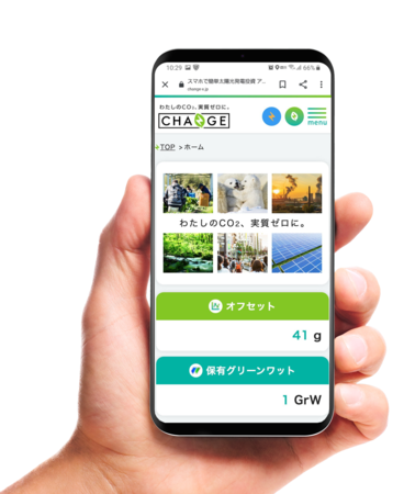 グリーンワットの写真
