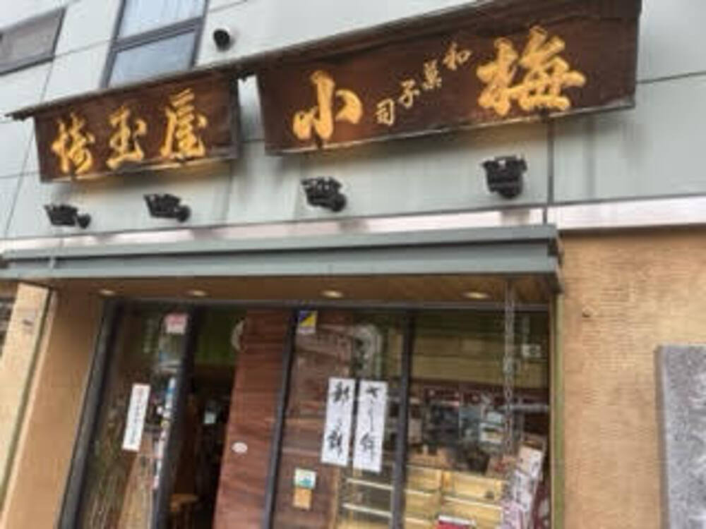 埼玉屋小梅 外観と日本自動ドア社の木製自動ドア