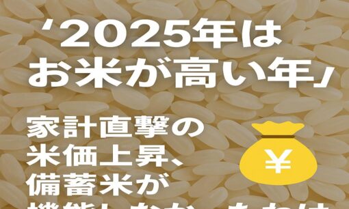 「2025年はお米が高い年」家計直撃の米価上昇、備蓄米が機能しなかったわけ